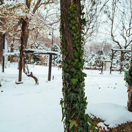 Boutique Luxury Flats - La Maison Du Petit Paris Букурещ Екстериор снимка